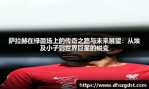 熊猫体育官网入口