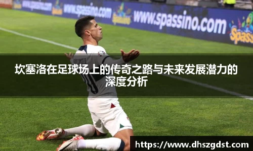 熊猫体育
