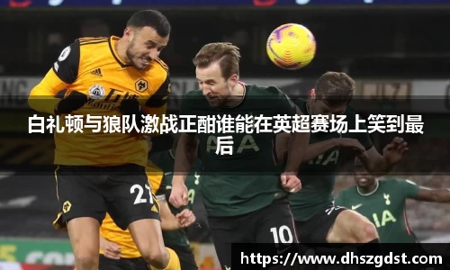 熊猫体育官网入口